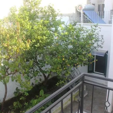 La Pergola Di Amalia