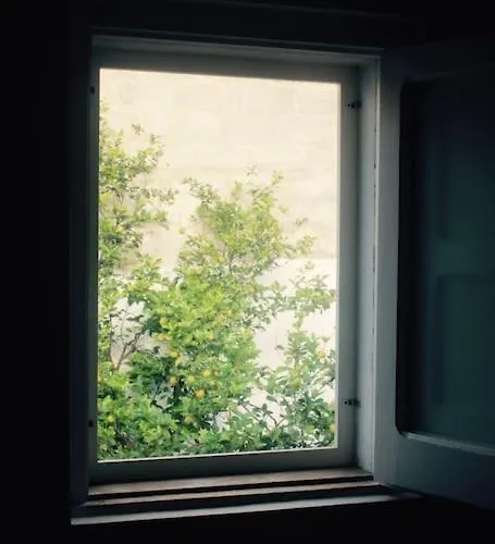 La Pergola Di Amalia Casa vacanze *